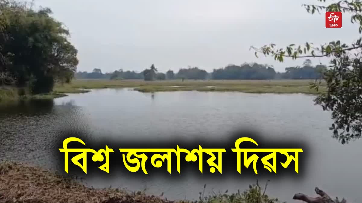 World Wetland Day 2024