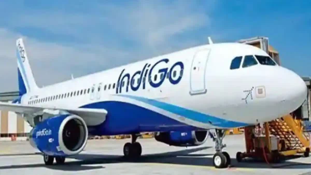 A file picture of an Indigo plane