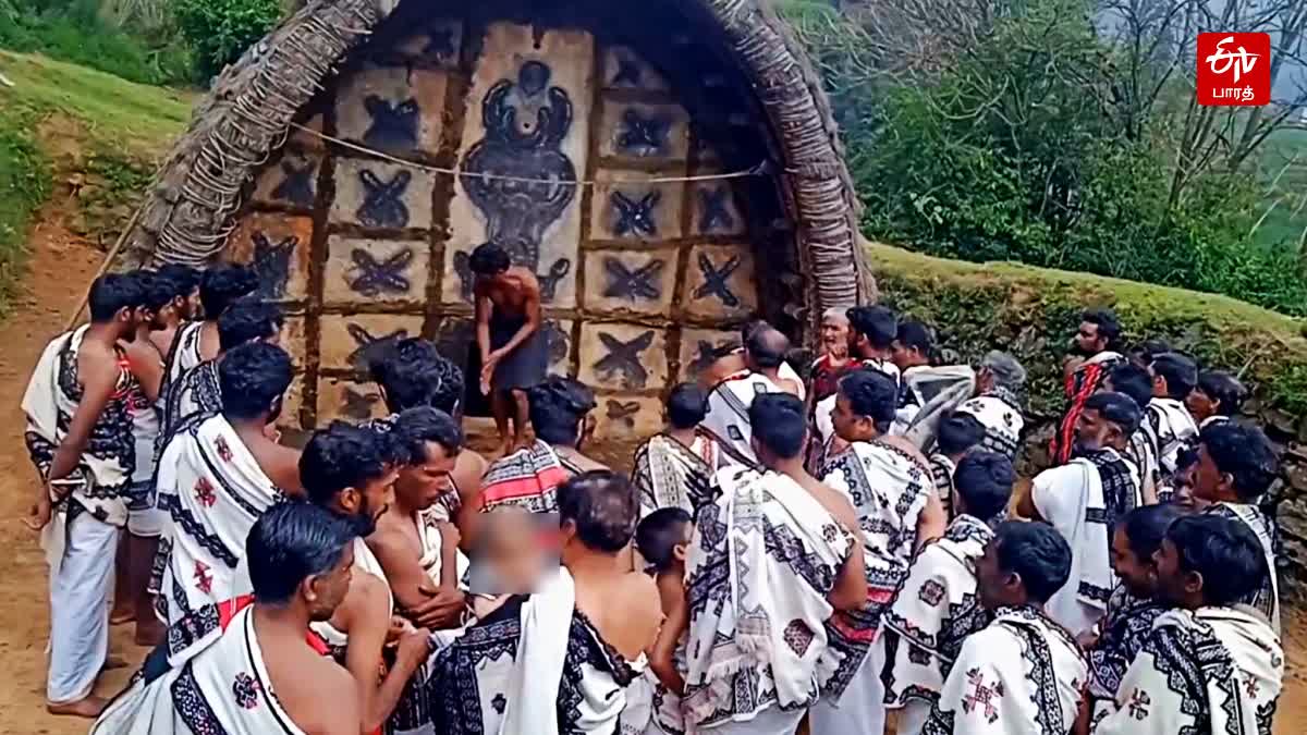 Nilgiri tribals thoda festival