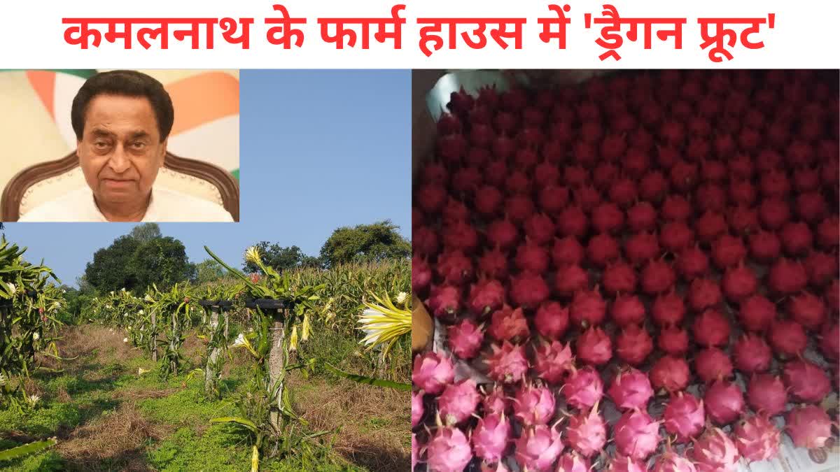 Kamal Nath became farmer