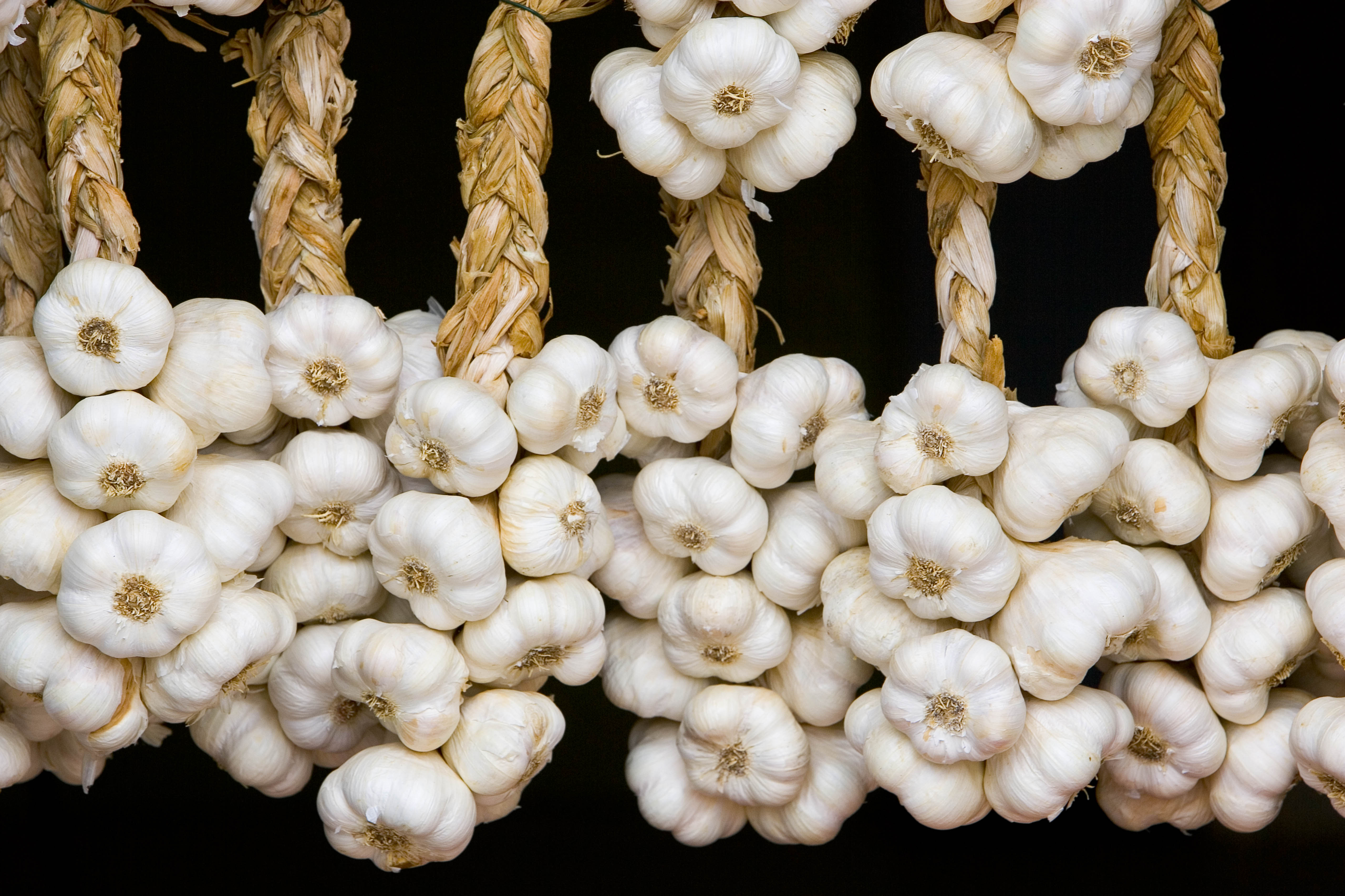 garlic price increase