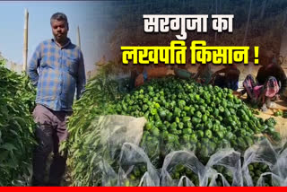 farmers earning lakhs from Capsicum Cultivation in Ambikapur