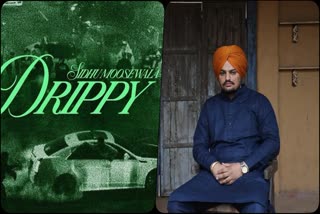 Punjabi singer Sidhu Moosewala fifth song Drippy