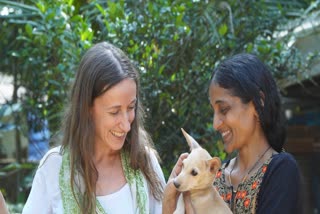 Italian Woman Shelters Stray Dogs  തെരുവുനായകൾക്ക് തണലായി ഇറ്റലിക്കാരി  ഇറ്റാലിയൻ ചിത്രകാരിയുടെ തെരുവുനായകൾ  Italian Woman save Stray Dogs life