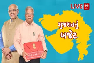 નાણામંત્રી કનુ દેસાઈ LIVE