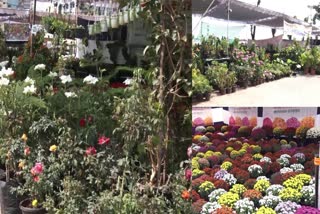 All India Agriculture and Horticulture Exhibition- 2024