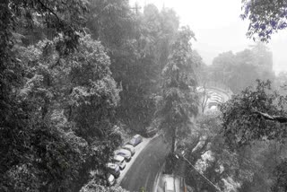 Shimla Snowfall