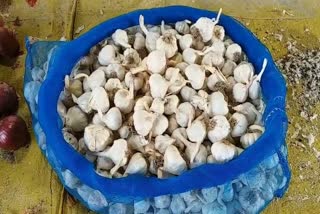 Garlic Becomes Costlier