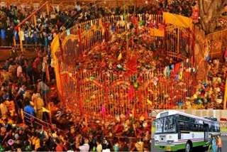 Huge Devotees Rush at Medaram Jatara