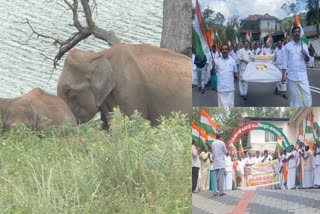 Wild Animals Attack In Idukki  ഇടുക്കിയില്‍ വന്യമൃഗ ശല്യം  ചിന്നക്കനാല്‍ കാട്ടാന ആക്രമണം  Wild Elephant Attack