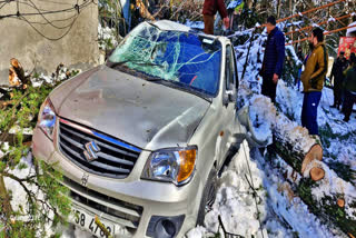 Tree fell on car in Manali