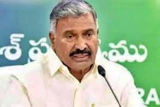 minister_peddireddy_comments