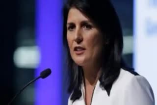 nikki haley