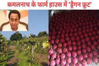 Kamal Nath became farmer