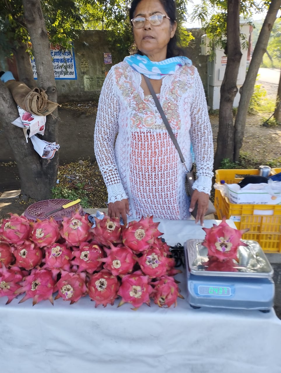 Kamal Nath farming dragon fruit