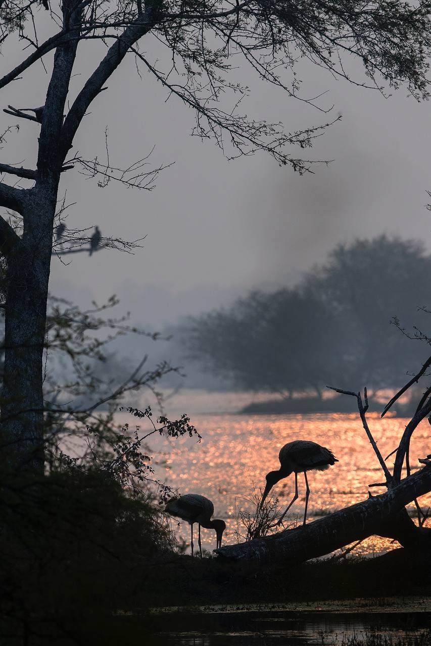 World Wetland Day 2024