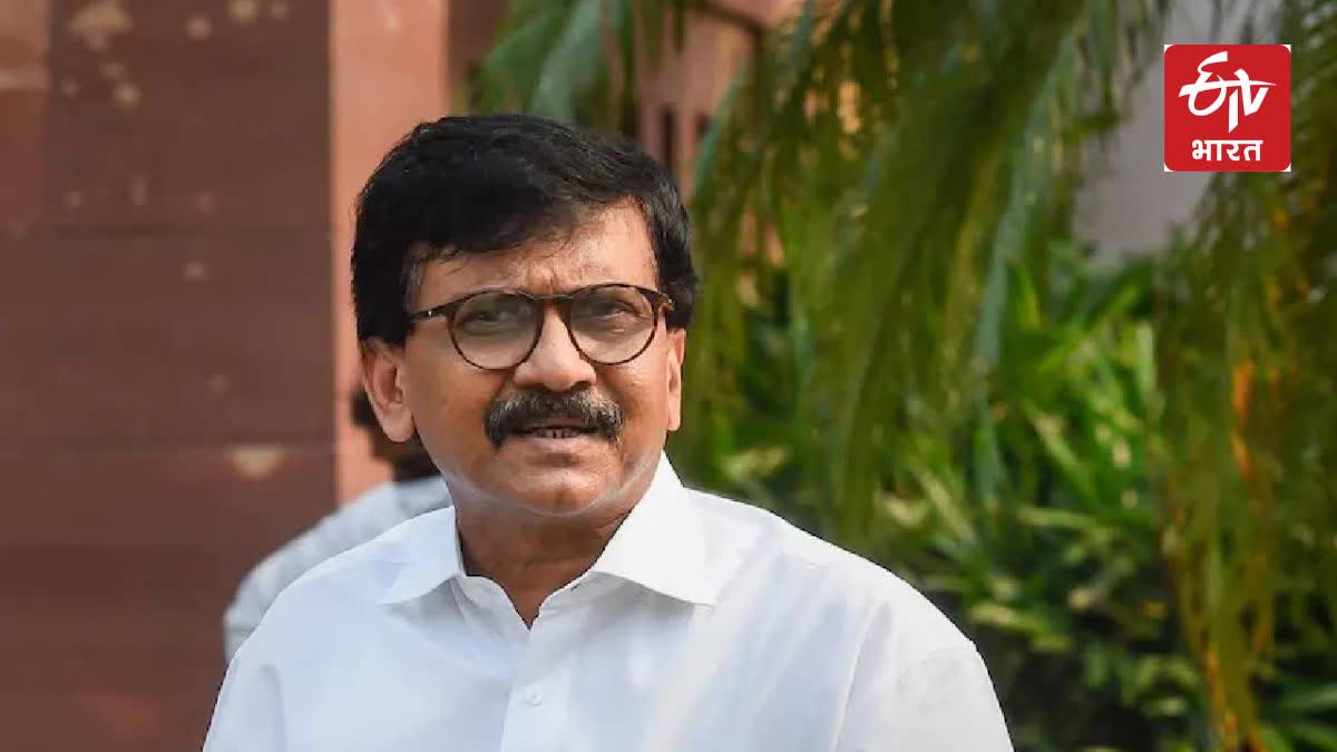 SANJAY RAUT ON DEVENDRA FADNAVIS