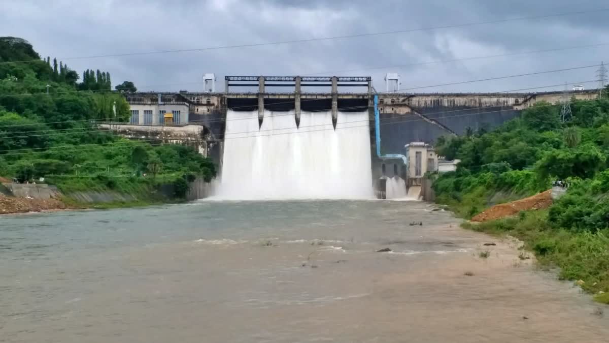 Bhadra Reservoir