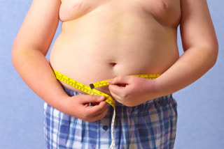 Are you troubled by stubborn belly fat? Know the reasons behind obesity