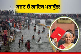 Union Budget 2025-26: 'Finance Minister Nirmala Sitharaman did not pay attention to Maha Kumbh'