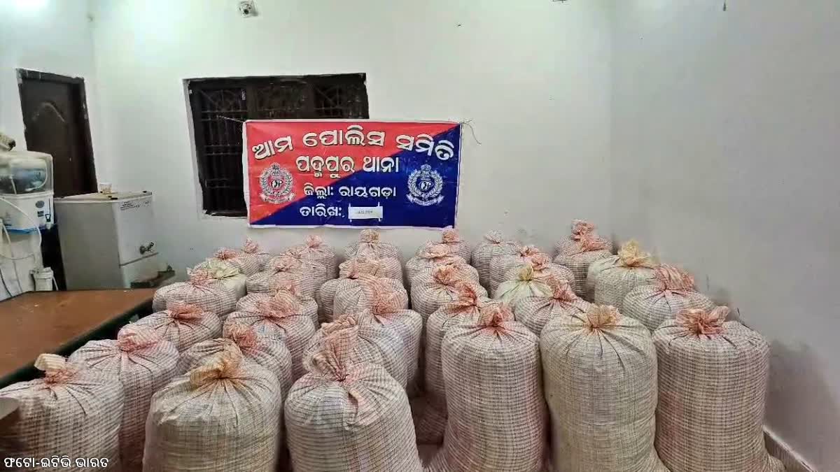 Ganja Seized in Rayagada