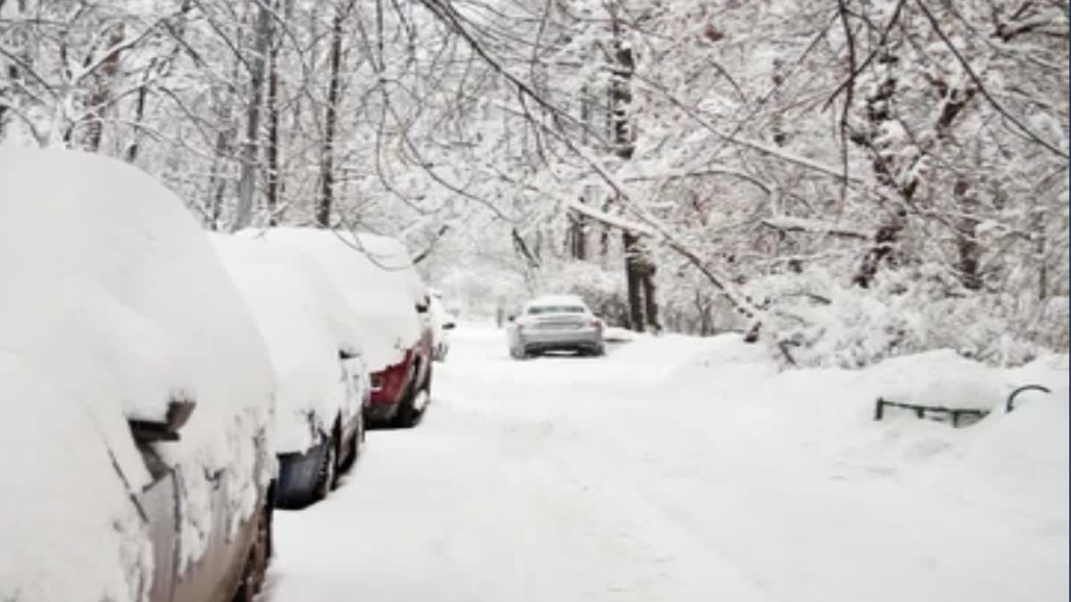 several killed and injured in Heavy snowfall in Afghanistan; devastating impact on livestock