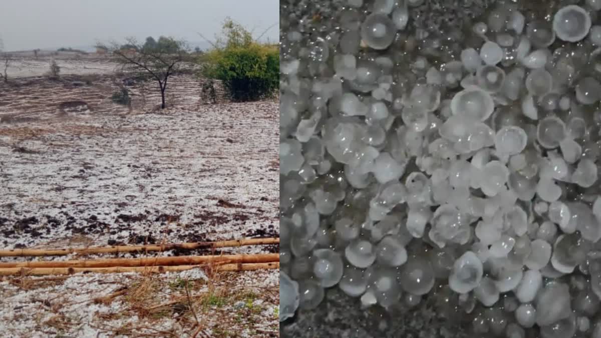 Mp weather update rainfall hailstorm again