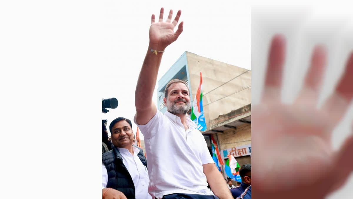 Congress leader Rahul Gandhi-led Bharat Jodo Nyay Yatra entered Madhya Pradesh from Rajasthan's Dholpur district on Saturday afternoon.