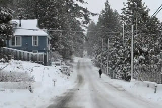 15 people died due to heavy snowfall in Afghanistan