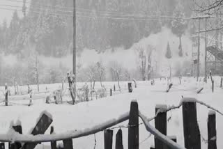 Red Alert in Himachal Pradesh Today Following Heavy Rain, Snow
