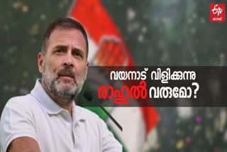 കോണ്‍ഗ്രസ് നേതാവ് രാഹുല്‍ ഗാന്ധി  Rahul Gandhi And Wayanad Election  Congress Leader Rahul Gandhi  രാഹുല്‍ ഗാന്ധിയും വയനാടും  തെരഞ്ഞെടുപ്പ് 2024