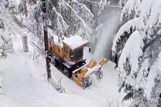 Fresh snowfall in Himachal Pradesh