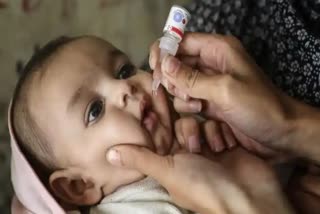 Pulse Polio immunization in Kerala  Pulse Polio campaign  Polio vaccine  പള്‍സ് പോളിയോ  ആരോഗ്യ മന്ത്രി വീണ ജോര്‍ജ്