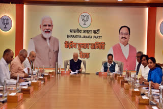 The Bharatiya Janata Party (BJP) announced its first list of 195 candidates for Lok Sabha polls on Saturday.