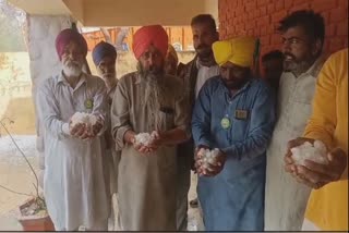 Bathinda in heavy rain and damage crops