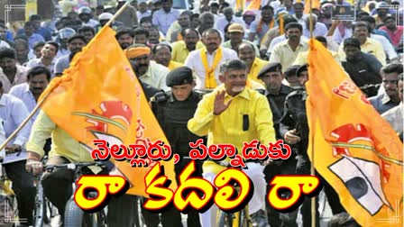 tdp_meeting_nellore_palnadu_cbn