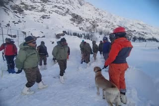 CHAMOLI MANA AVALANCHE