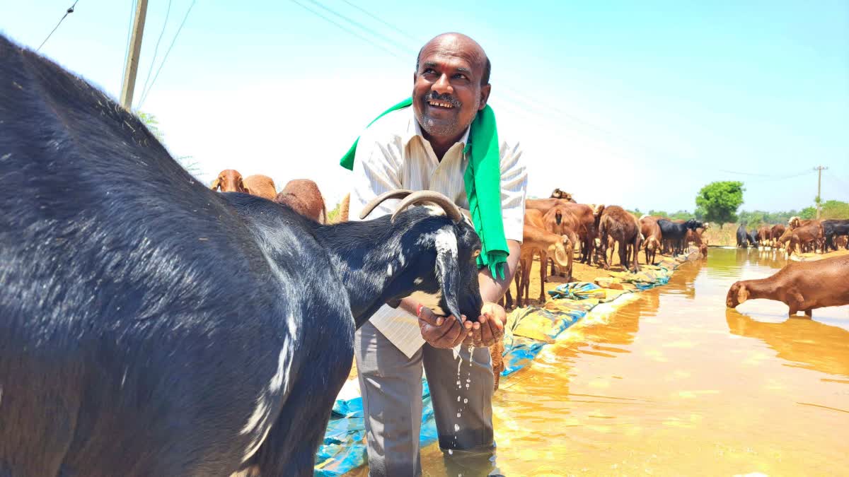 ನೀರಿನ ತೊಟ್ಟಿ