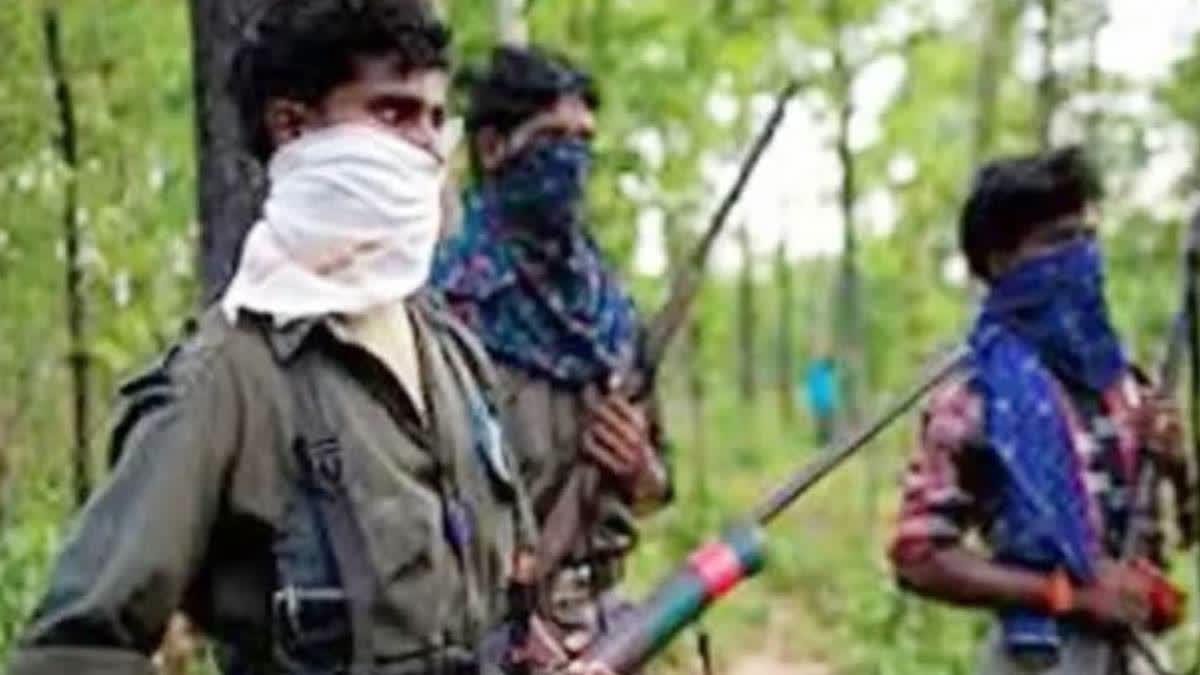 2 Naxals with Rs 43 Lakh Bounty Killed in Encounter in Madhya Pradesh-Chhattisgarh Border