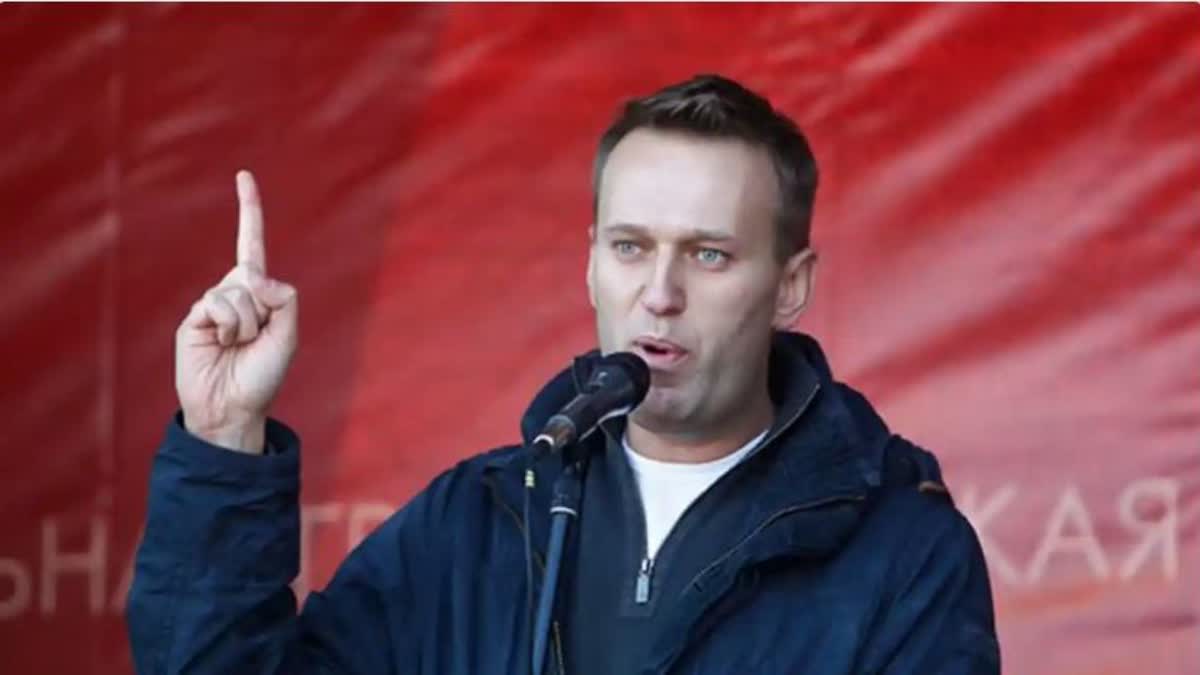 Navalnys Death Report