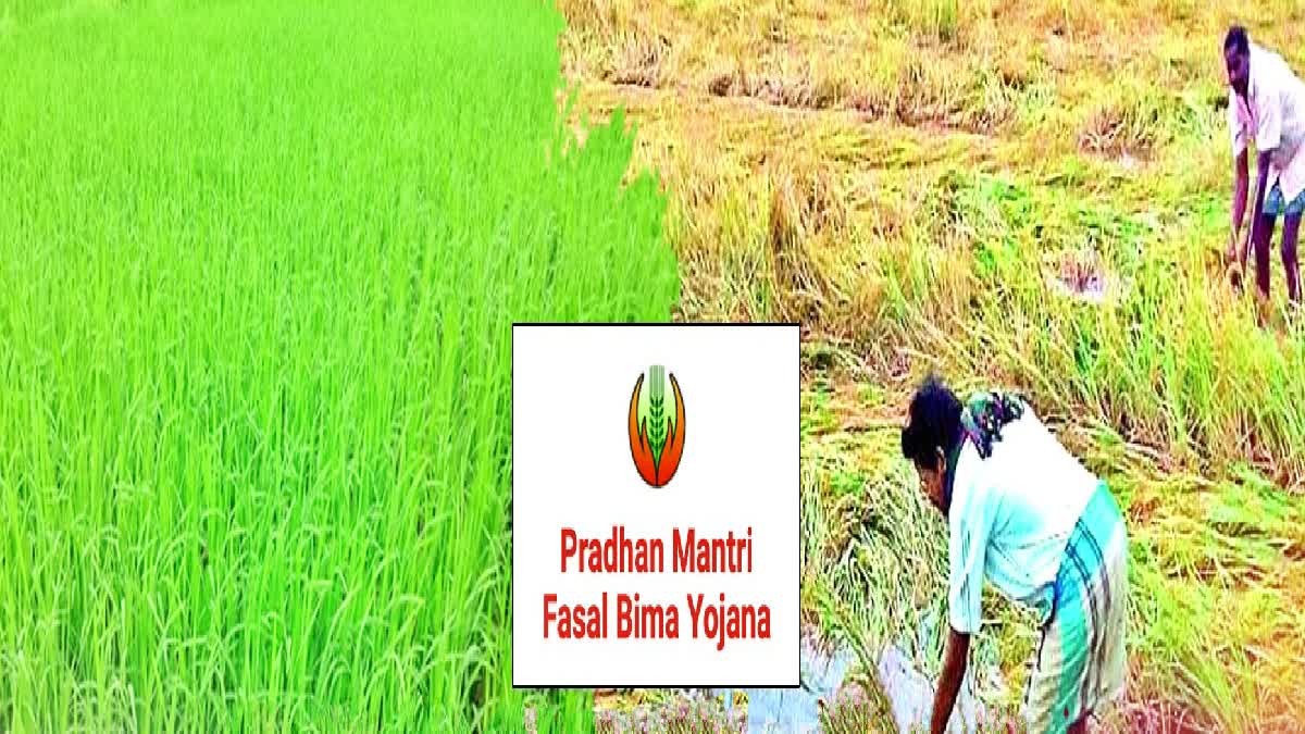 Pradhan Mantri Fasal Bima Yojana Scheme Join Congress