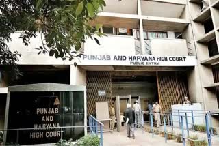 punjab haryana high court hearing on karnal by election petition