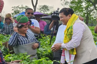 SARBANANDA SONOWAL AT TEA GARDEN