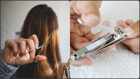 Hair and Nail Cutting