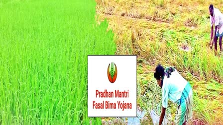 Pradhan Mantri Fasal Bima Yojana Scheme Join Congress