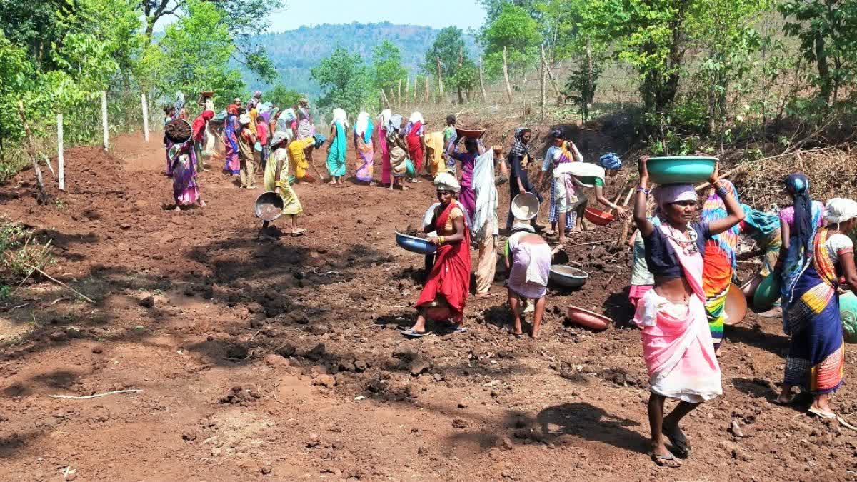 MGNREGA EMPLOYMENT