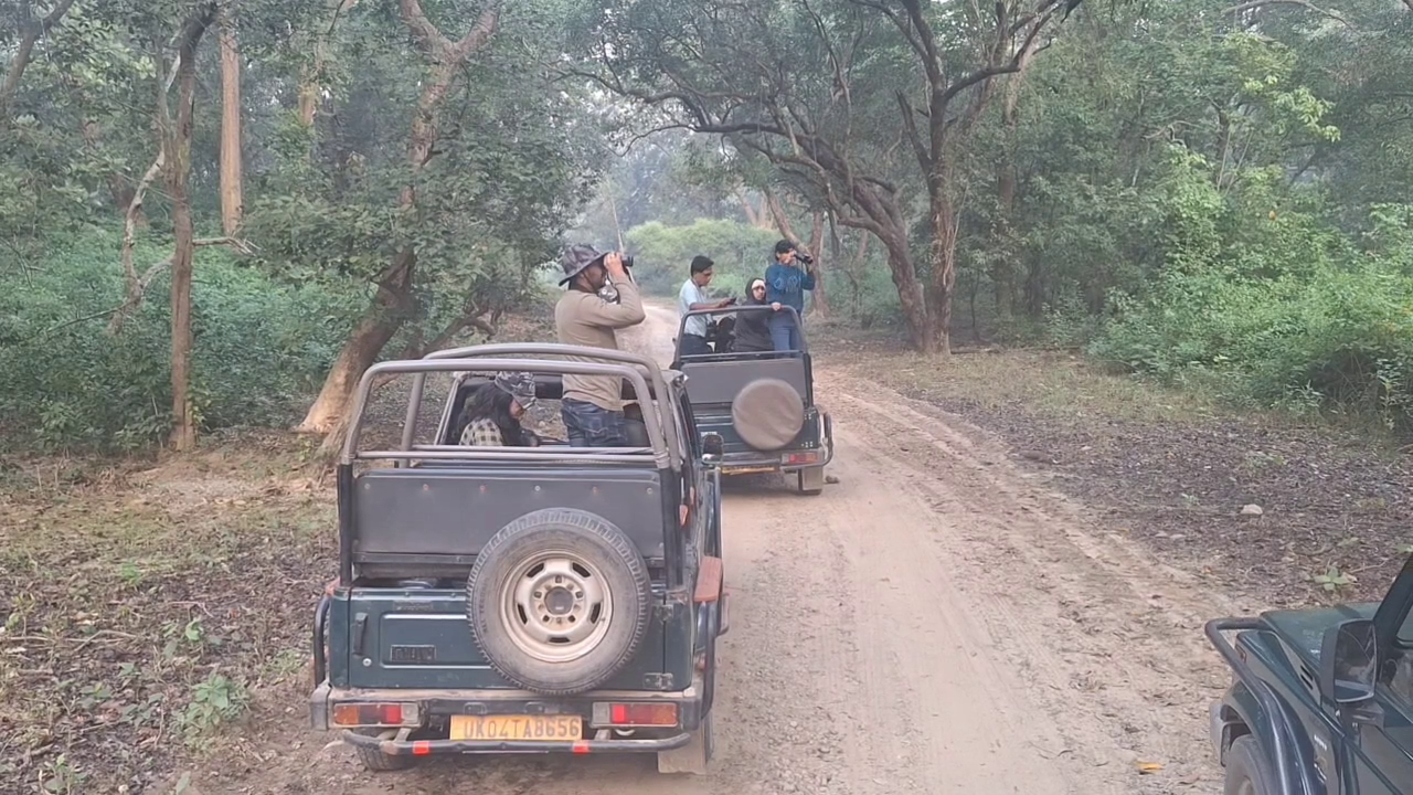 Corbett National Park Earning