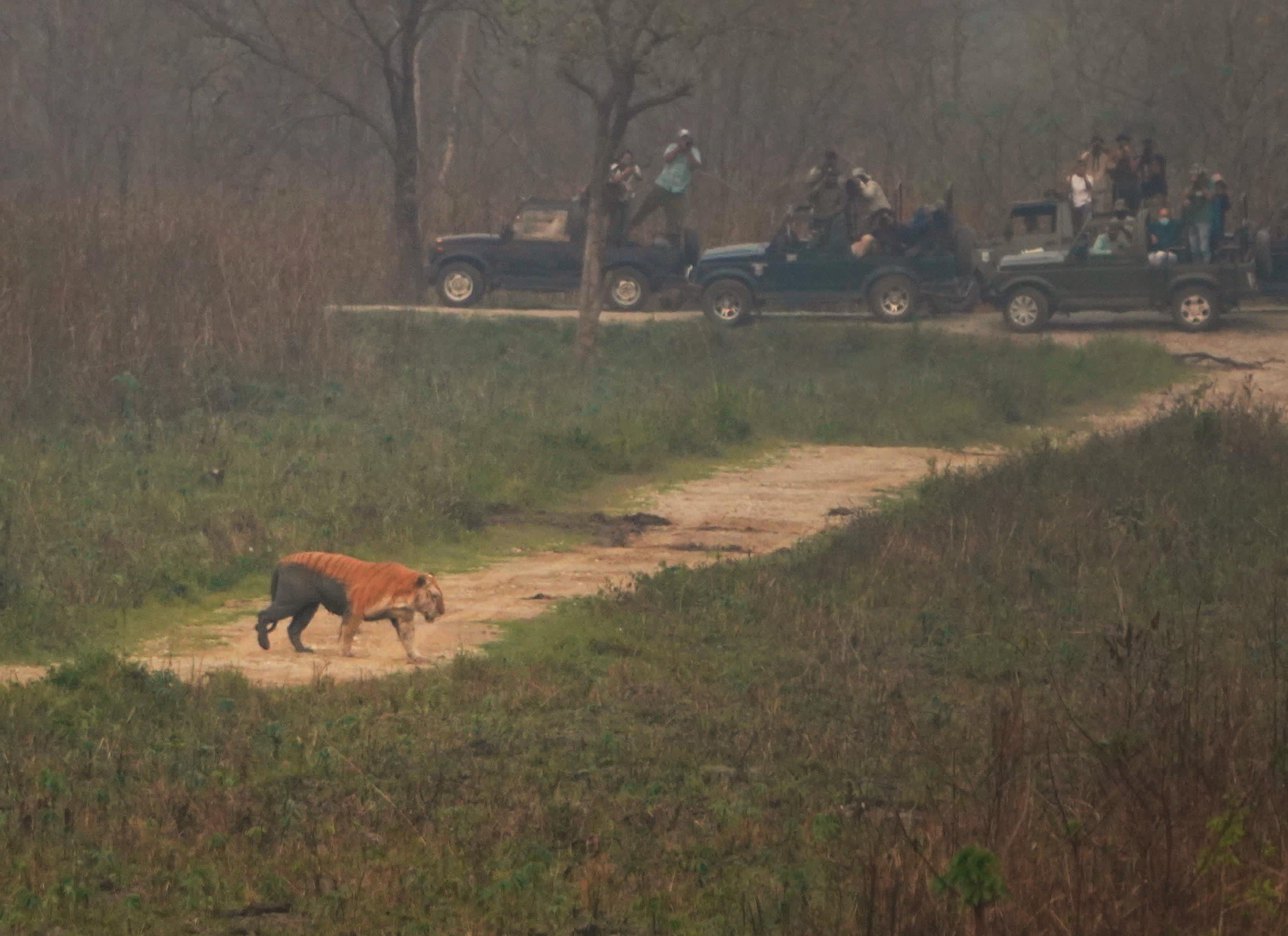 Kaziranga National Park