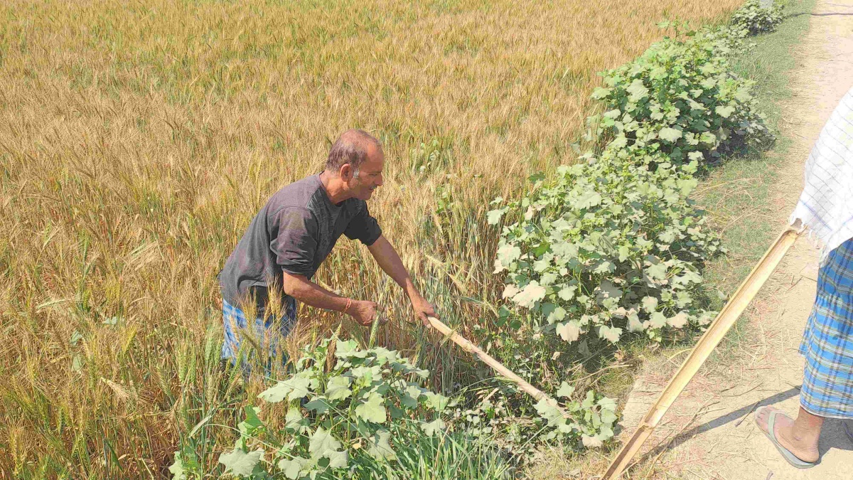 गांव के लोग खुद कर है पहरेदारी