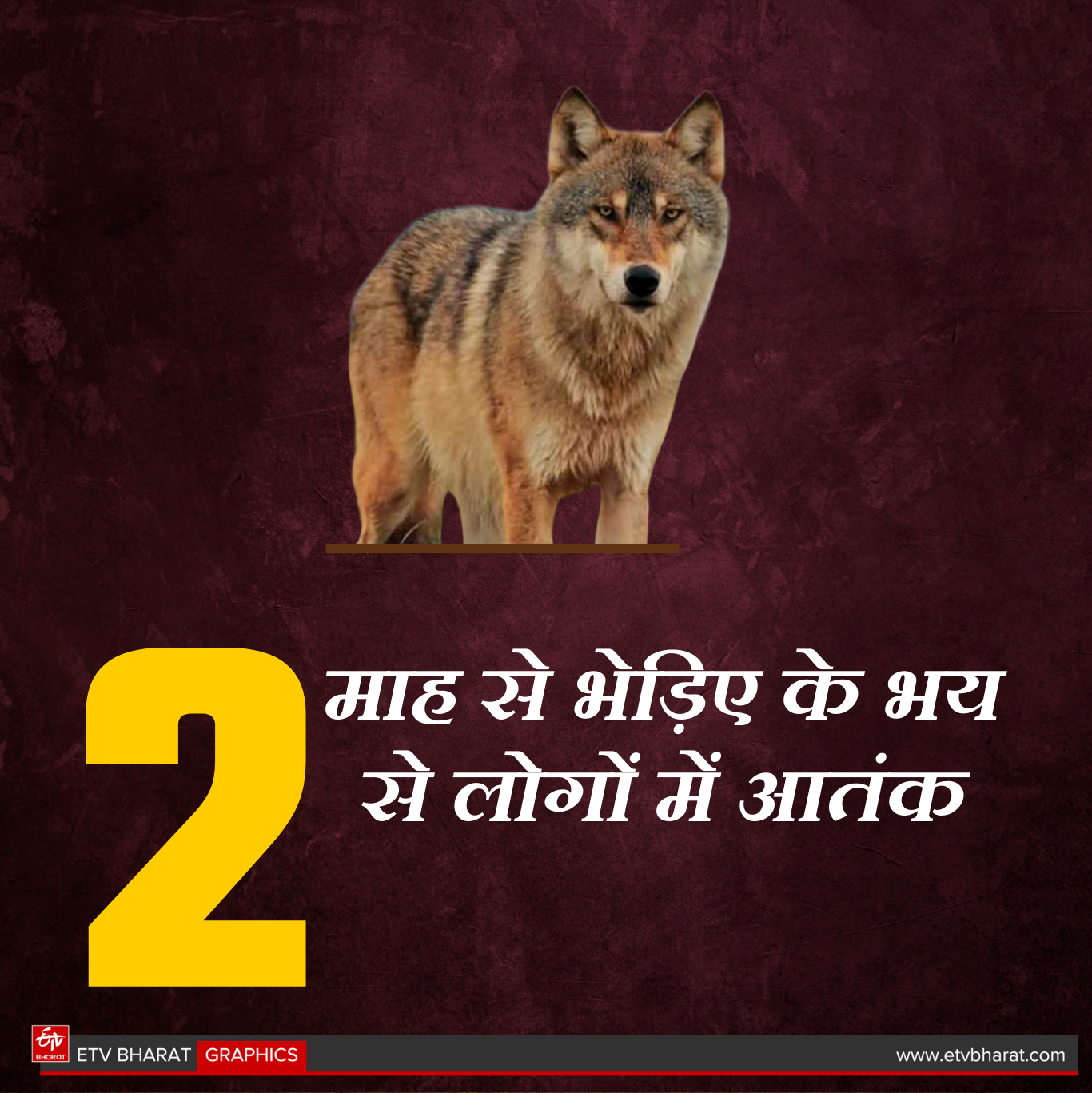 ETV Bharat GFX